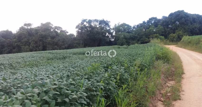 Chácara / sítio com 3 quartos à venda no Mariental, Lapa 