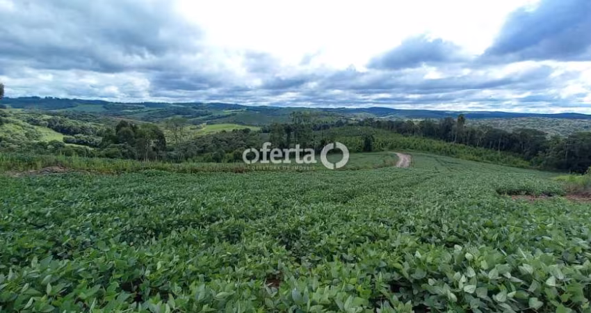Chácara / sítio à venda no Mato Preto, Lapa 