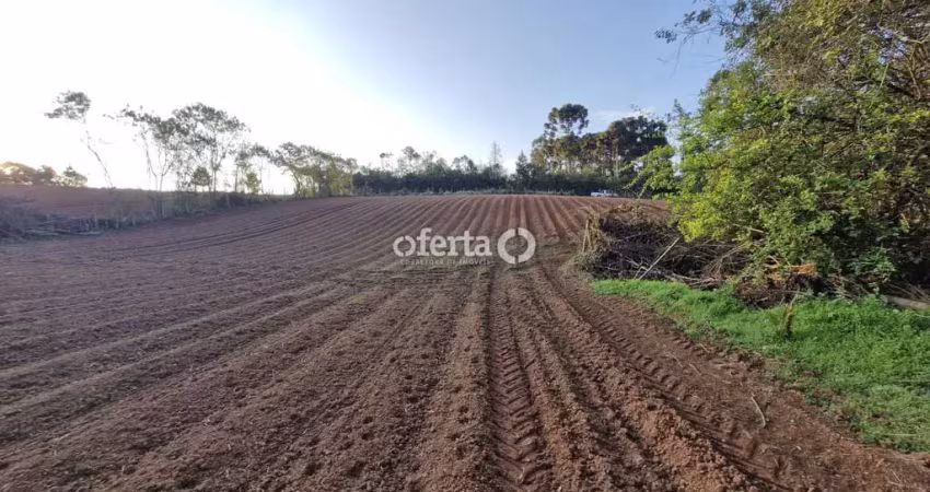 Chácara / sítio à venda em Mato Branco, Contenda 