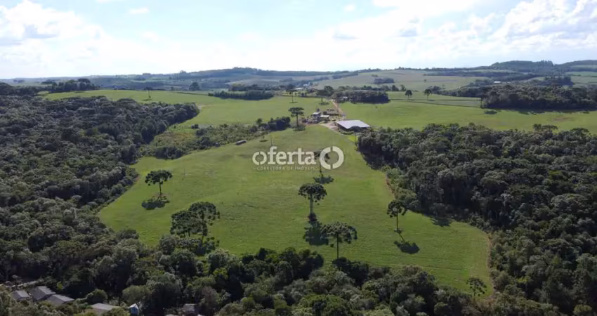 Fazenda à venda no Faxinal dos Castilhos, Lapa 