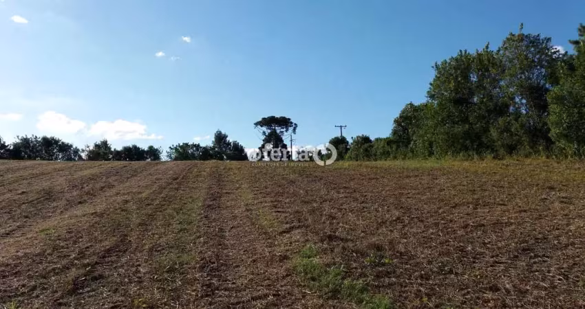 Chácara / sítio à venda em Mato Branco, Contenda 