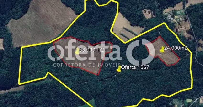 Fazenda à venda no Mato Preto, Lapa 