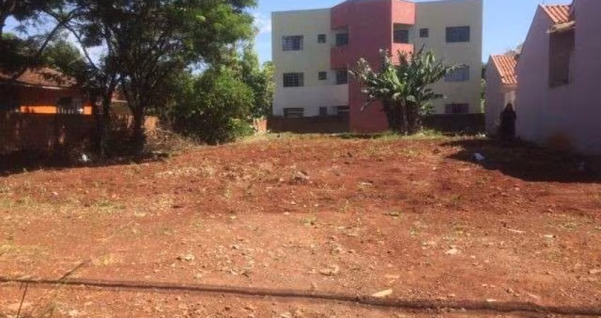 Lote alto padão