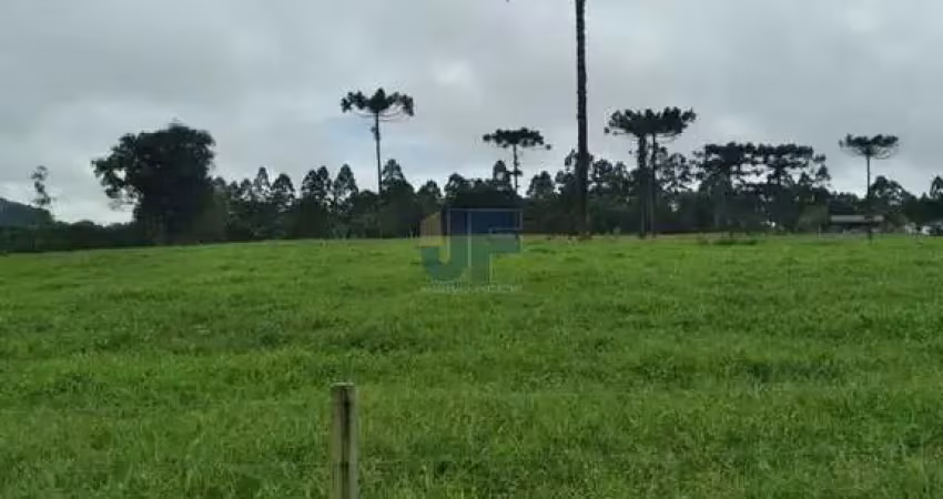 Chácara / sítio com 4 quartos à venda no Centro, Salete 