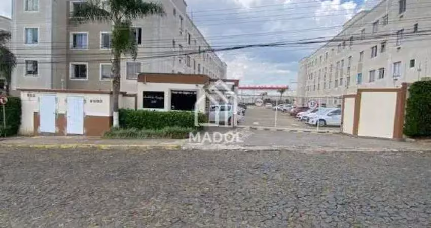 Apartamento à Venda em Jardim Carvalho, Ponta Grossa - PR