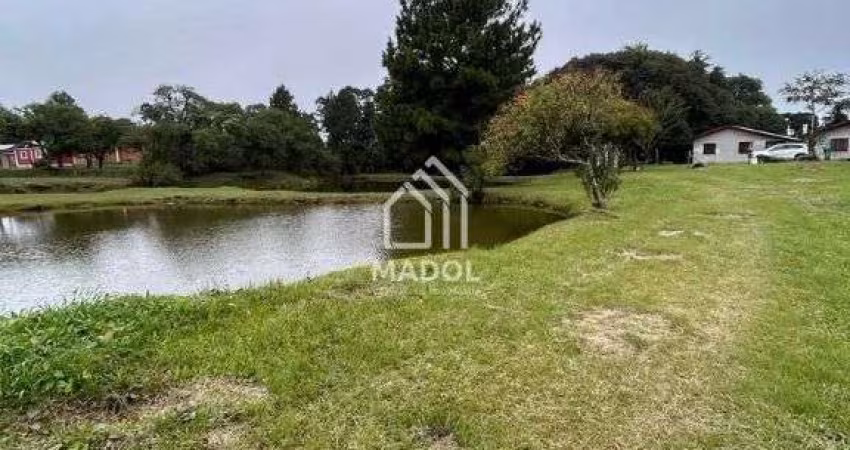 Chácara à Venda em São Luiz do Purunã, Balsa Nova - PR