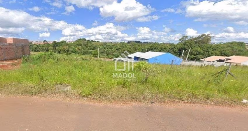 Terreno à venda, 300 m² por R$ 115.000 - Cará-cará - Ponta Grossa/PR