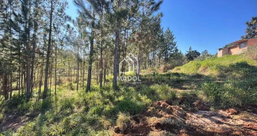 Terreno à venda, 720 m² por R$ 90.000 - Chapada - Ponta Grossa/PR