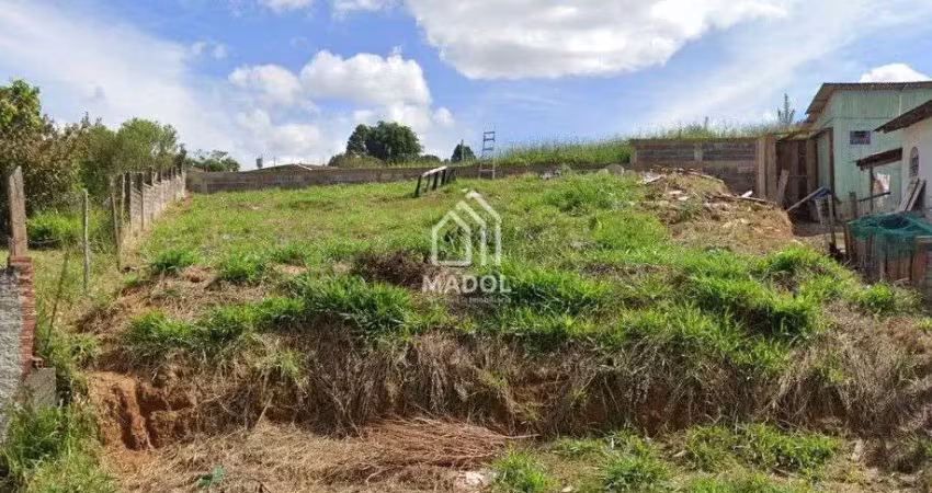 Terreno à venda, 350 m² por r$ 130.000 - jardim carvalho - ponta grossa/pr