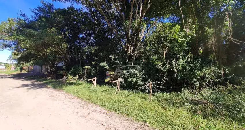 Terreno escriturado com 325,00 m², a 700 metros do mar, no mariscal em bombinhas!