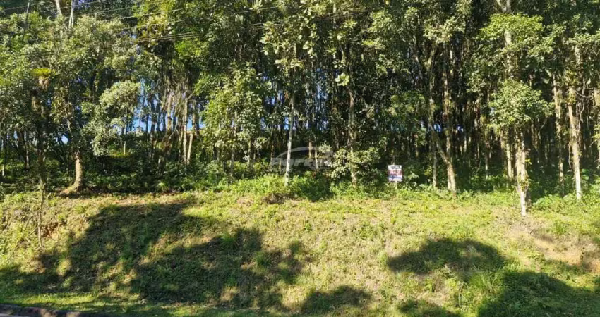 Terreno com 524,47 m², no bairro fortaleza alta em blumenau!