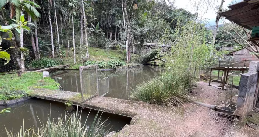 Chácara / sítio com 3 quartos à venda na Rua Henrique Setter, 955, Itoupava Central, Blumenau