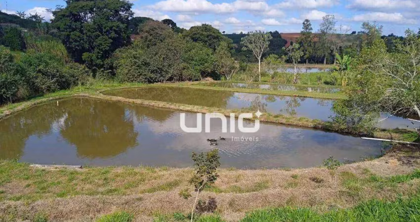 Sítio com 6 dormitórios à venda, 52000 m² por r$ 1.300.000,00 - zona rural - boa esperança/mg