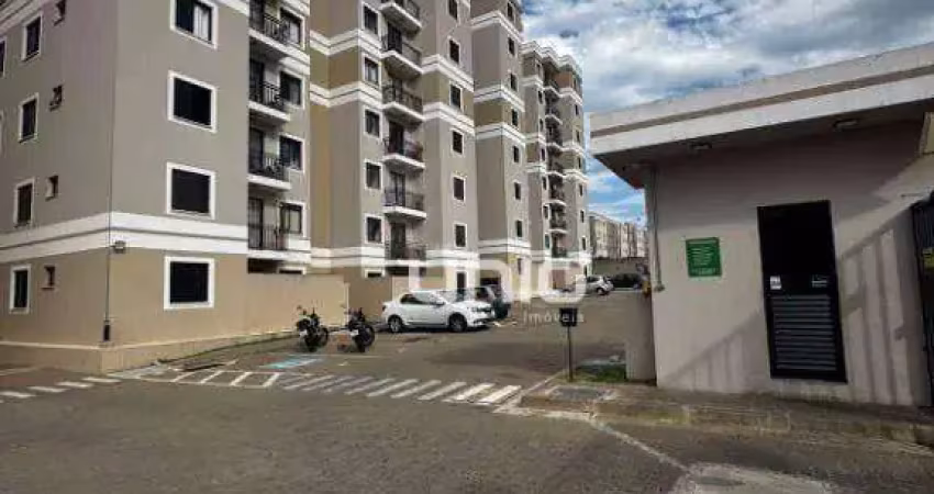 Apartamento à venda no condomínio ilha de malta, pompéia