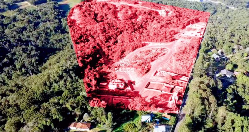 Terreno com 1000m² à venda no Tingui em Curitiba