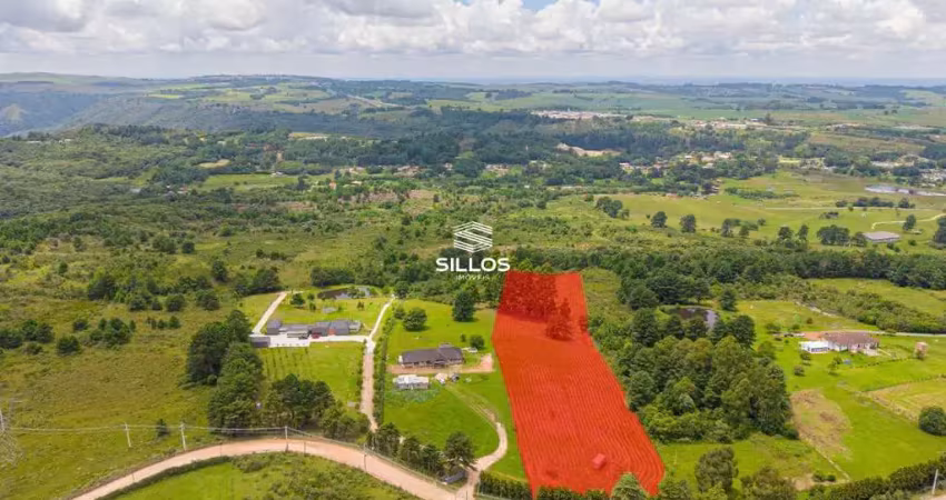 Terreno com 20.000,00m² à venda em são luiz do purunã/pr