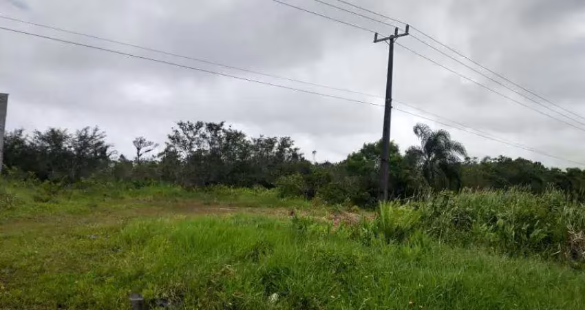 Terreno à venda na Outros Rod. Máximo Jamur, Coroados, Guaratuba