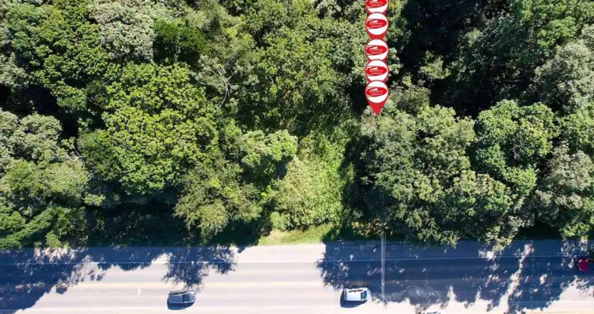 Terreno à venda na Rua Demétrio Elias Djazi, Balneário Eliane, Guaratuba