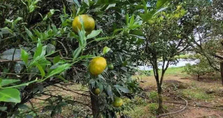 Chácara / sítio com 4 quartos à venda no Bom Futuro, Garuva 