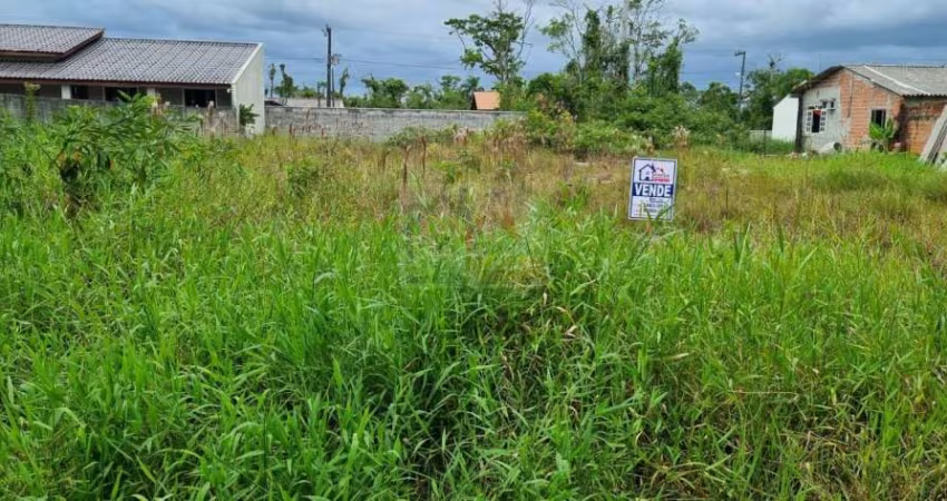 Terreno limpo e aterrado - Barra do Saí