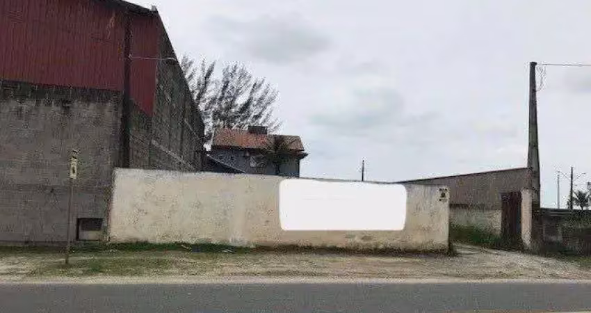 Terreno comercial à venda na Barra do Sai, Itapoá 