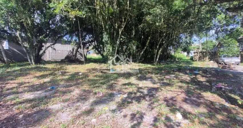 Terreno de 537,00 m² em itapoá/sc - próximo ao colégio monteiro lobato