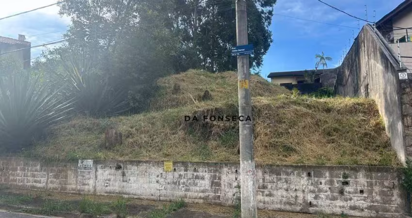 Terreno em condomínio fechado à venda na Rua Héllio Nemer, Parque dos Príncipes, São Paulo
