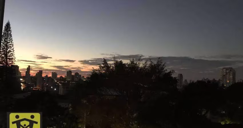 Apartamento com 3 dormitórios à venda, 236 m² por r$ 3.850.000,00 - vila mariana - são paulo/sp