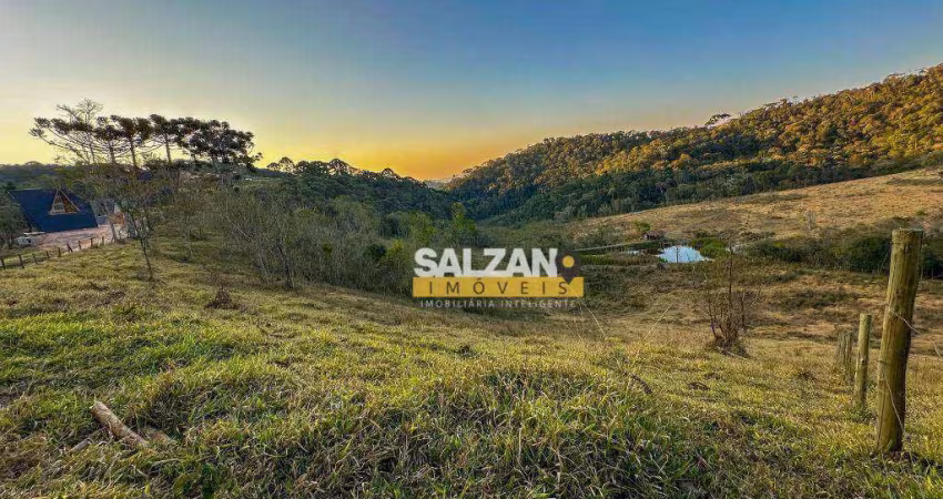 Terreno à venda, 4172 m² por R$ 600.000,00 - Cachoeira - Santo Antônio do Pinhal/SP