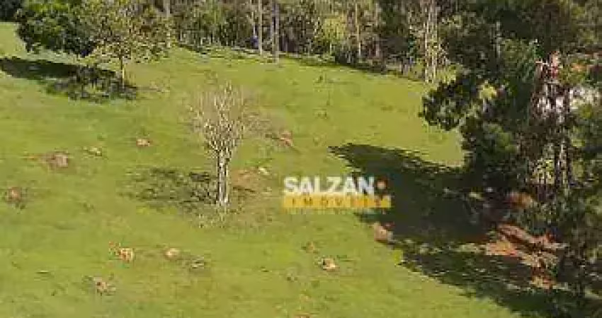 Terreno à venda, 20000 m² por r$ 250.000 - zona rural - natividade da serra/sp