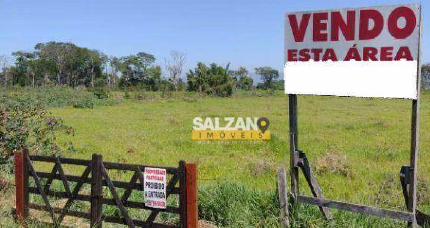 Área à venda, 24666 m² por R$ 31.375.000,00 - Barranco - Taubaté/SP