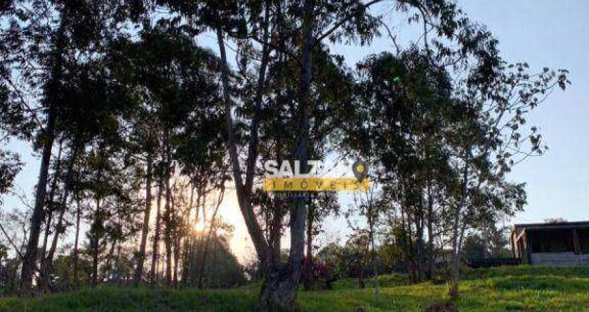 Área à venda, 2000 m² por R$ 700.000,00 - Chácaras Cataguá - Taubaté/SP