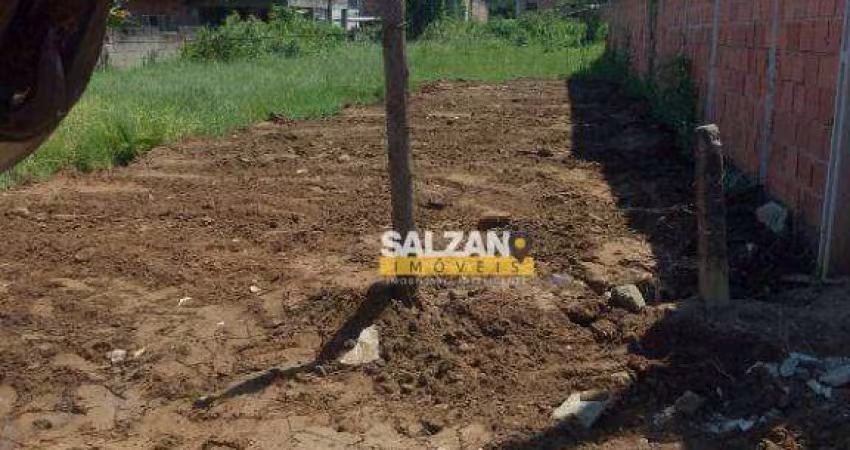 Terreno à venda, 325 m² por R$ 128.000 - Indaiá - Caraguatatuba/SP