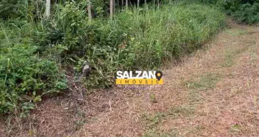 Terreno à venda, 1234 m² por r$ 235.000,00 - lagoinha - ubatuba/sp