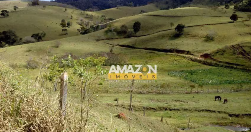 Área à venda, 350 m² por r$ 1.450.000,00 - zona rural - são bento do sapucaí/sp