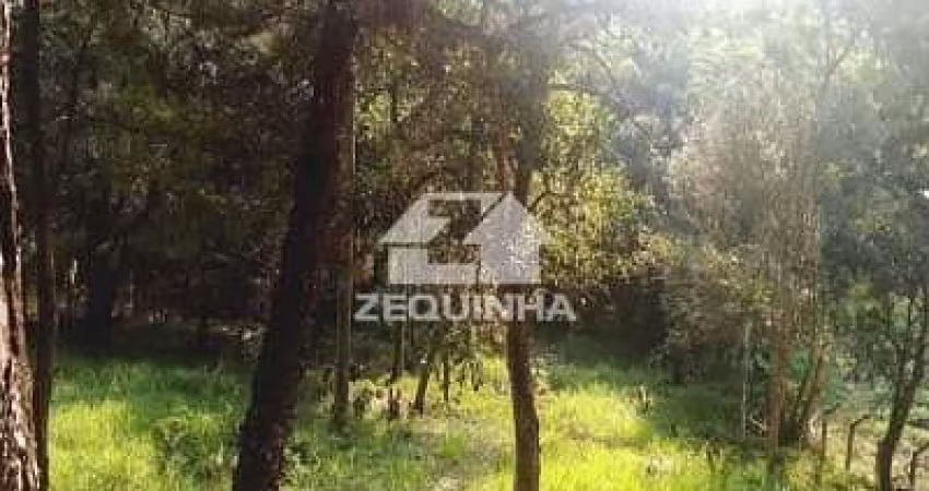 Residencial - Jardim Paulista