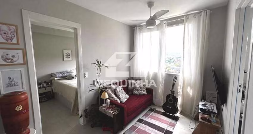 Residencial - Pirituba