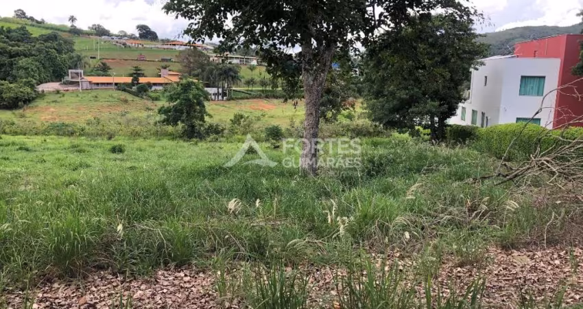 Terreno em condomínio fechado à venda no Lago Vitória, Capitólio 
