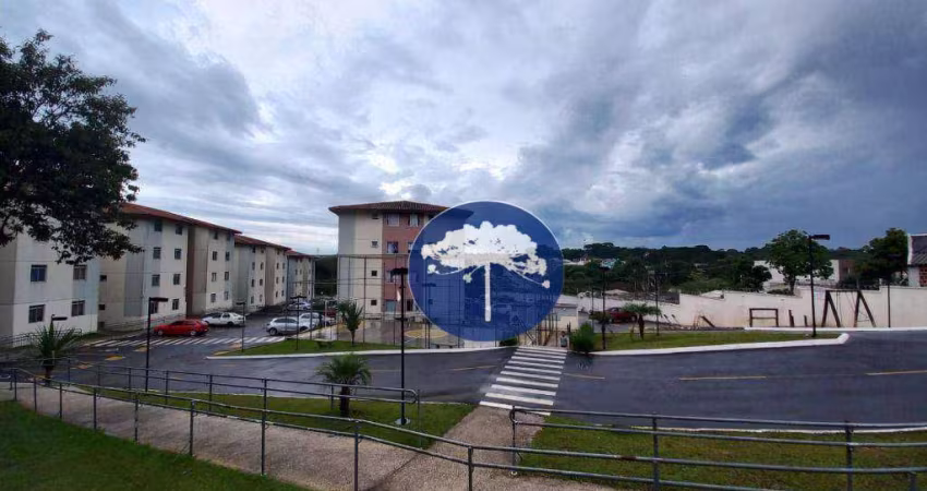 Apartamento com 2 dormitórios à venda, 43 m² por R$ 200.000,00 - Campina da Barra - Araucária/PR