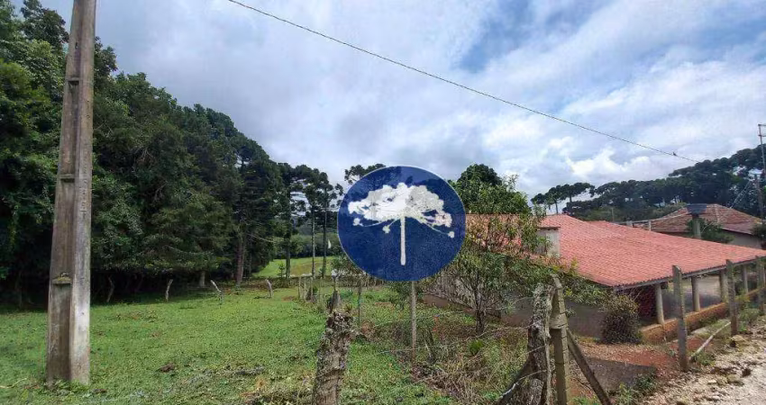 Chácara com 3 dormitórios à venda, 254100 m² por r$ 3.190.000,00 - guajuvira - araucária/pr