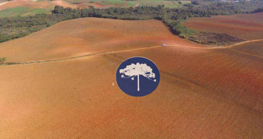 Área à venda, 297660 m² por R$ 12.000.000,00 - Guajuvira - Araucária/PR