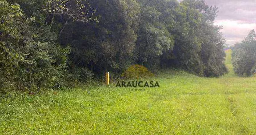 Área à venda, 54 m² por r$ 8.000.000,00 - campo de santana - curitiba/pr