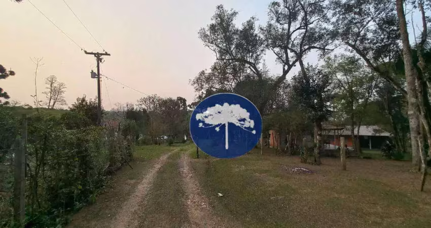 Chácara / sítio com 3 quartos à venda no Faxinal dos Castilhos, Lapa 