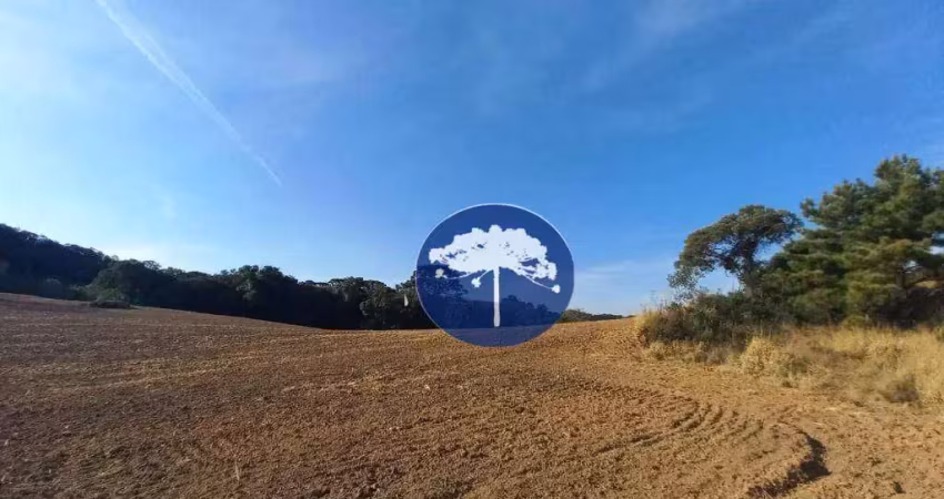 Área à venda, 114276 m² por r$ 13.000.000,00 - zona rural - araucária/pr