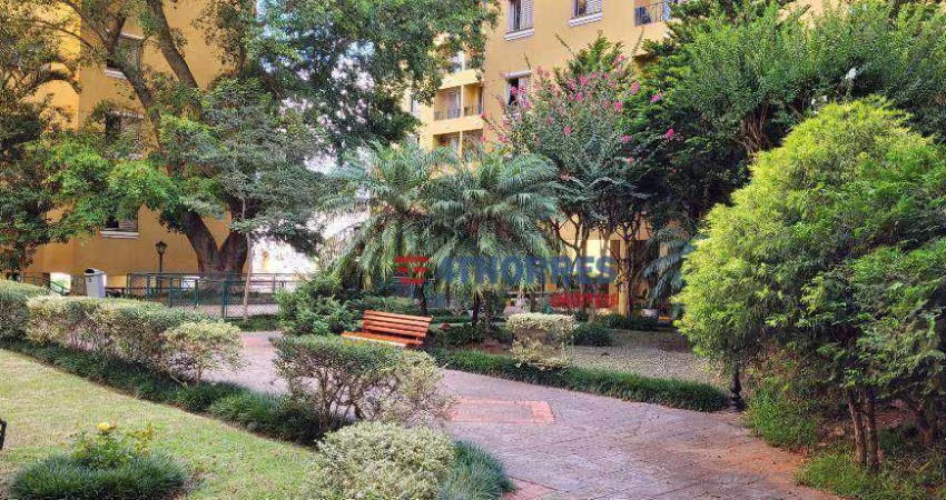 Apartamento com 3 dormitórios à venda, 64 m² por R$ 465.000,00 - Vila Morse - São Paulo/SP