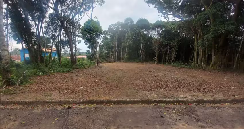 Terreno em condomínio fechado à venda no Verava, Ibiúna 