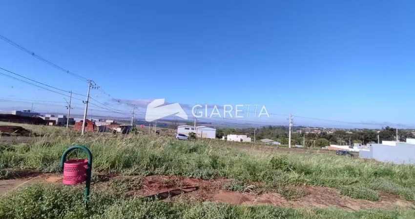 Terreno à venda no panorama, loteamento lorenzetti, toledo - pr