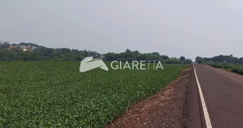 Área rural com excelente localização à venda, dois irmãos, toledo - pr