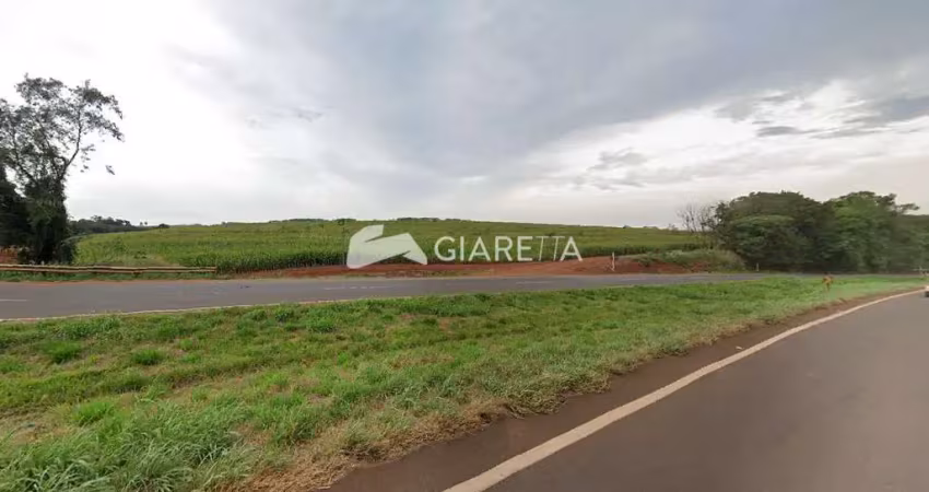 Chácara ampla para plantio a venda na br 163 em toledo-pr