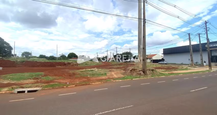 Lote amplo à venda em excelente localização, JARDIM PANCERA, TOLEDO - PR